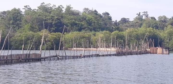 Rashmi Homestay Balapitiya Bagian luar foto