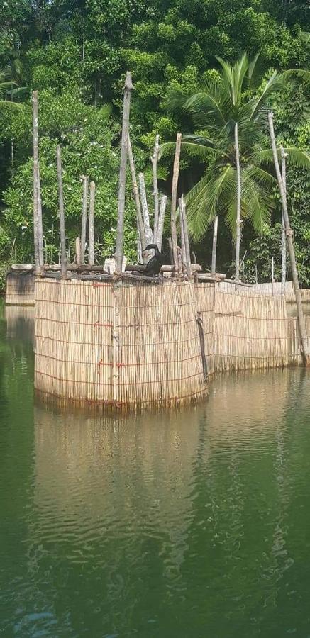 Rashmi Homestay Balapitiya Bagian luar foto
